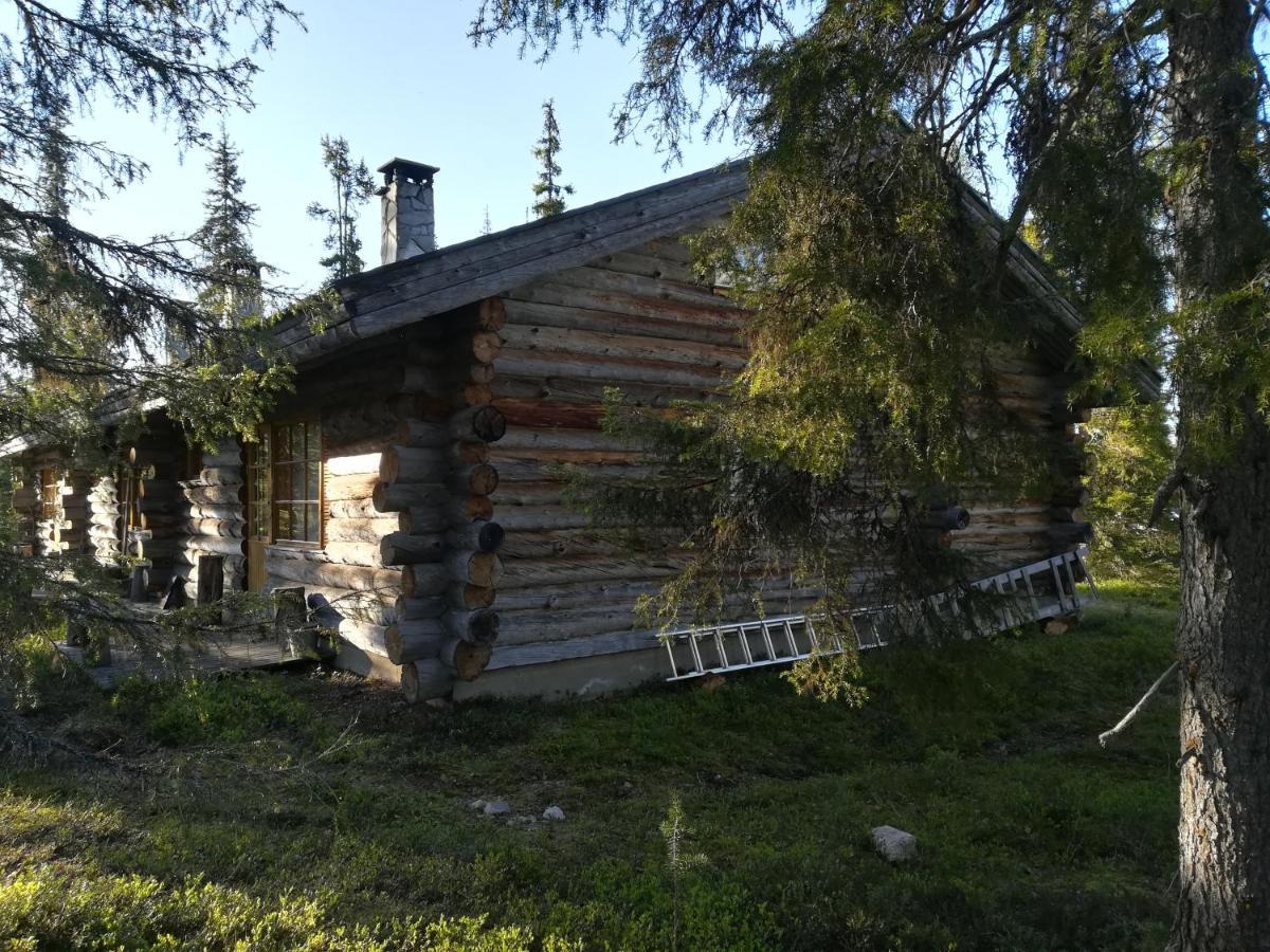 Logwood Chalet Luosto Luaran gambar